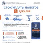 СРОК ОПЛАТЫ НАЛОГОВ 1 ДЕКАБРЯ
